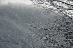 点景　　公園にて　Ⅲ