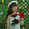 「サルビアの花」　　Ⅳ