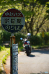 DSC_3120岡山　宇甘渓