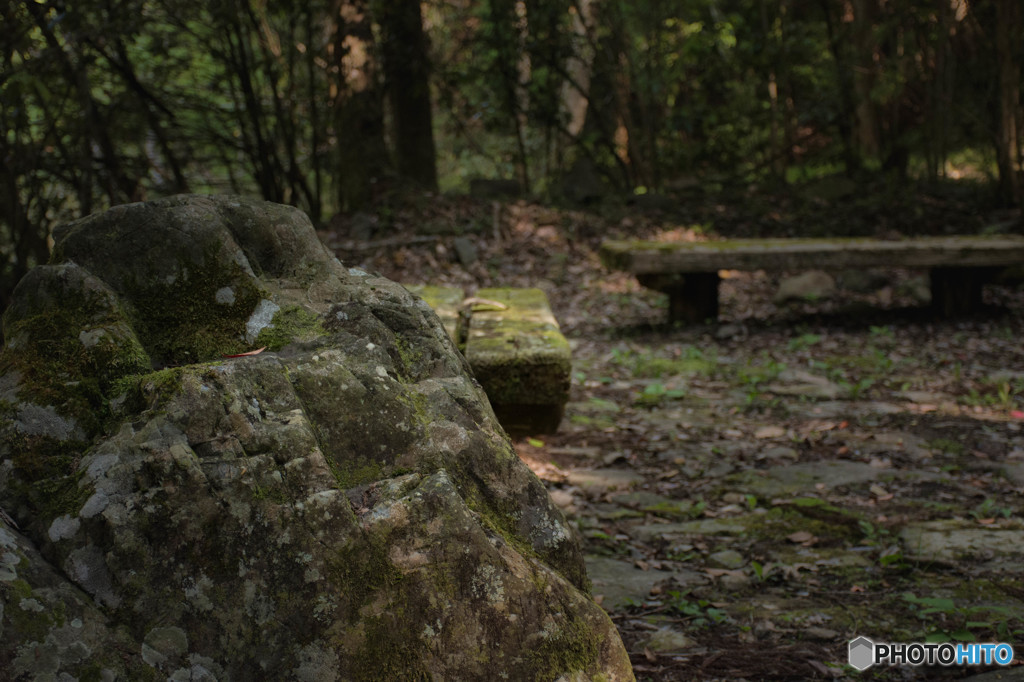 DSC_3115　岡山　宇甘渓