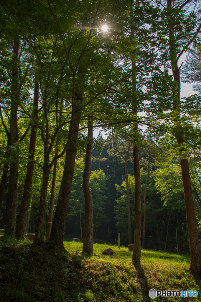 DSC_3916　三室高原