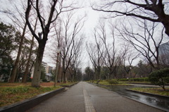 雨の日の靱公園