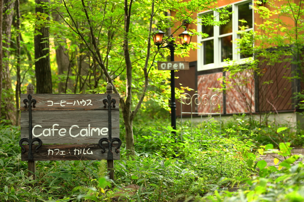 森の中のコーヒーハウス