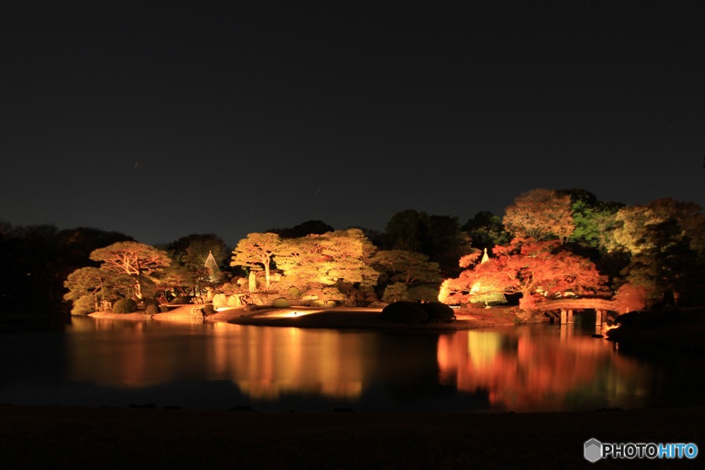 六義園　紅葉ライトアップ