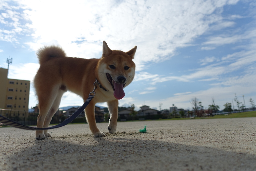 散歩