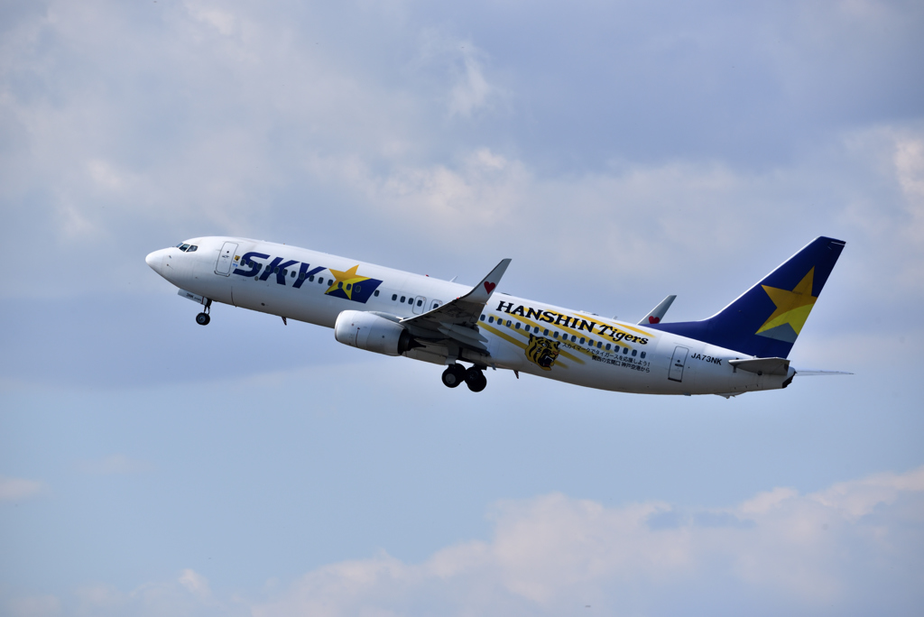 タイガースジェット