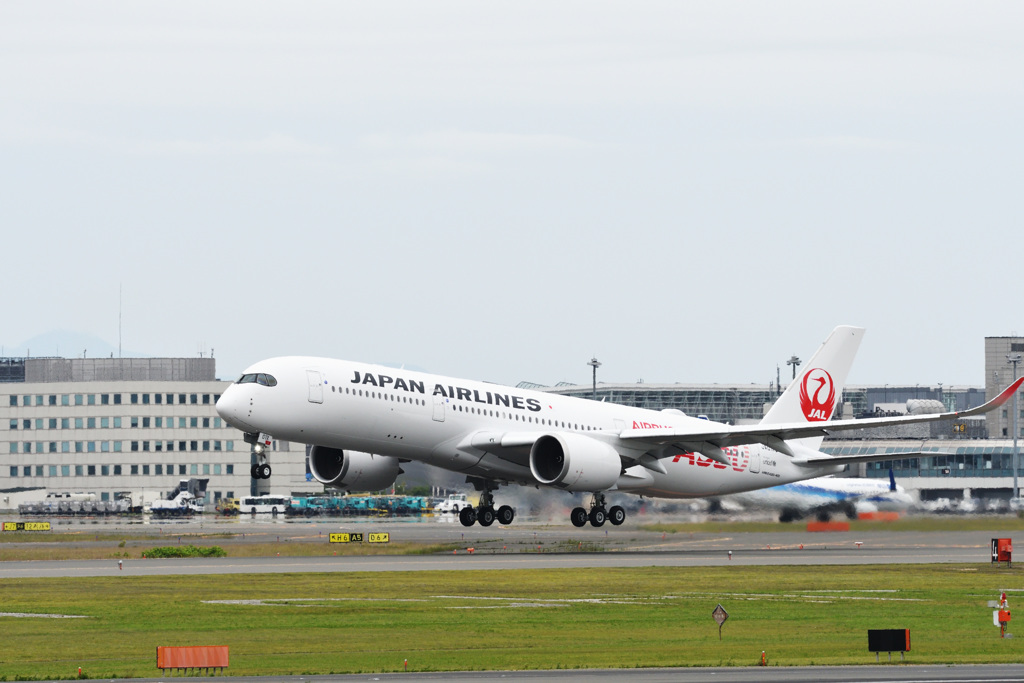 JAL A350