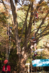 Climb climb !!