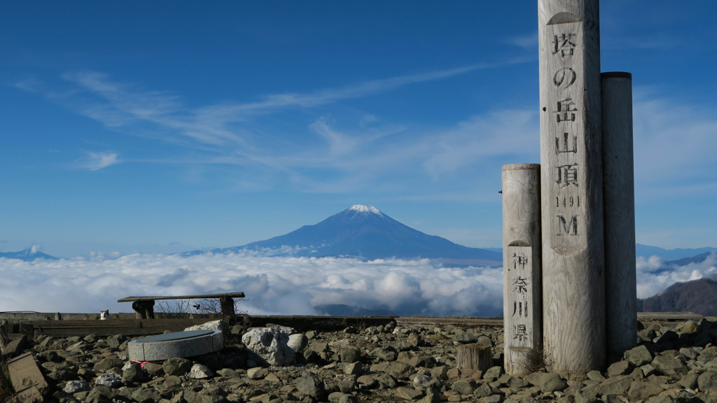 塔ノ岳から富士山