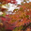 秋の札幌