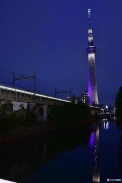 東京スカイツリー
