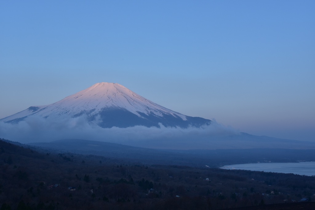 朝日に照らされ