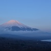 朝日に照らされ