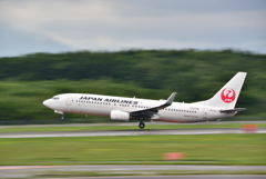 JAL Boeing737