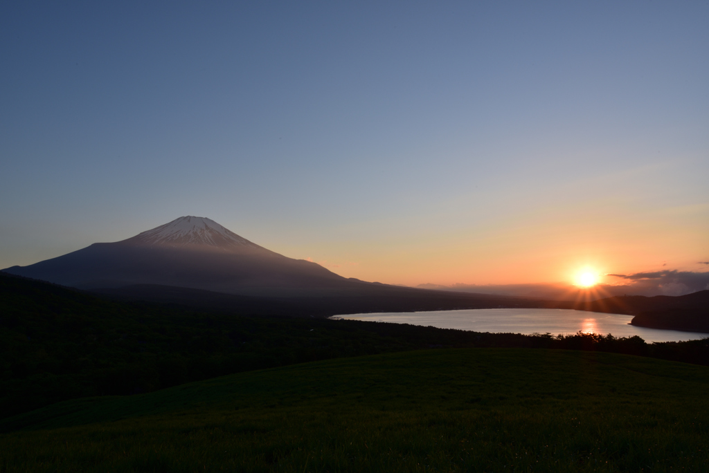 夕日に映える