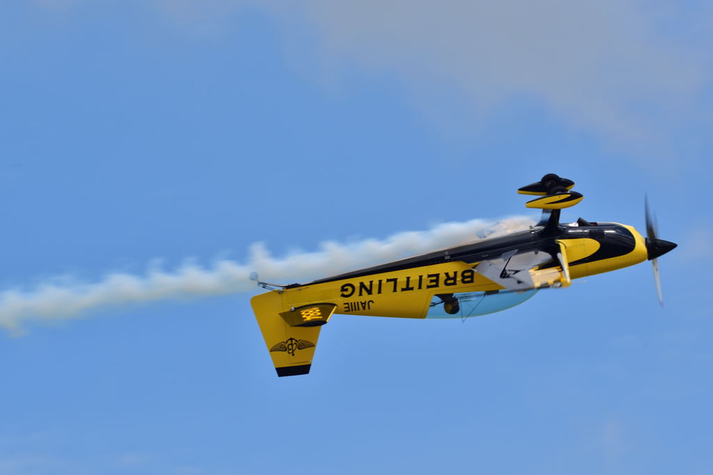 Inverted flight