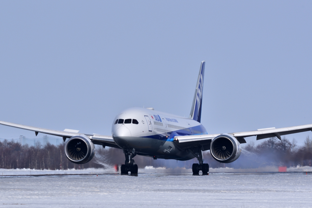 Dreamliner Touchdown