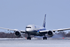 Dreamliner Touchdown