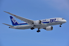 All Nippon Airways