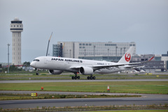 JAL A350 