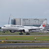 JAL A350 