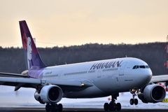 Hawaiian Airlines
