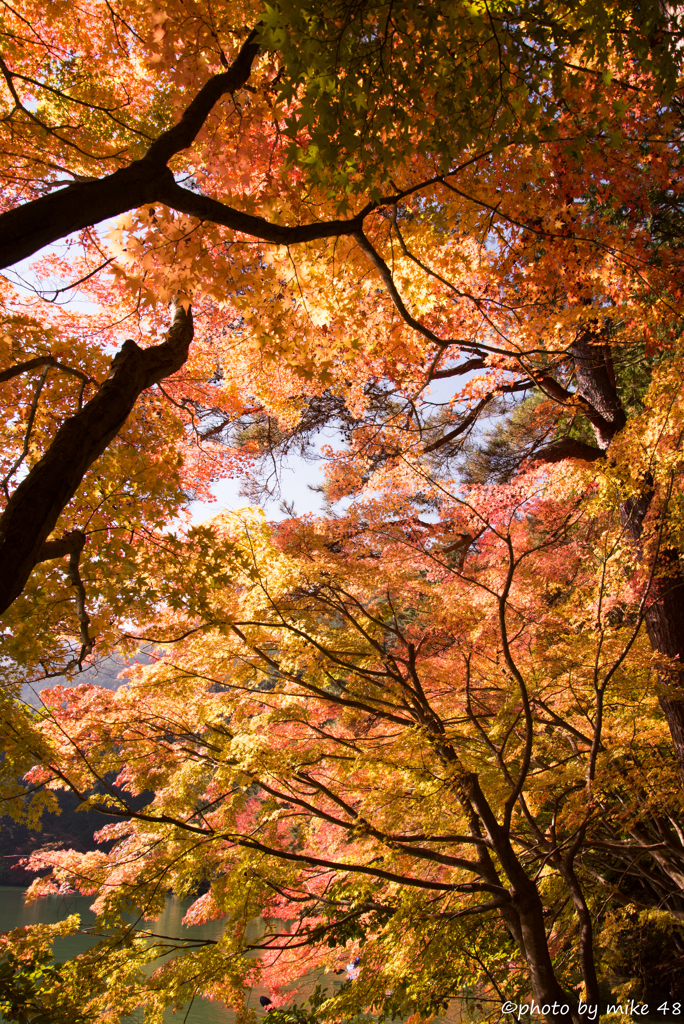 Autumn colors 3