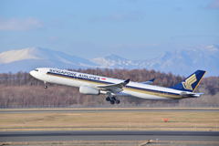 Singapore Airlines
