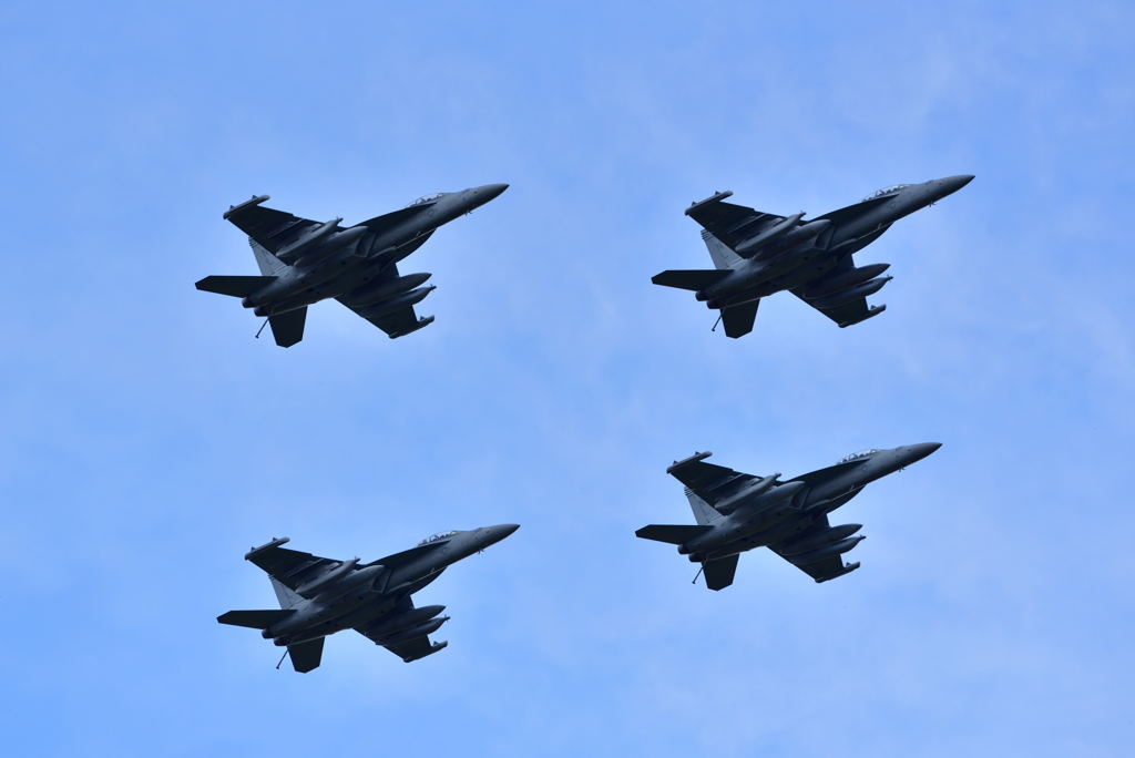EA-18G グラウラー