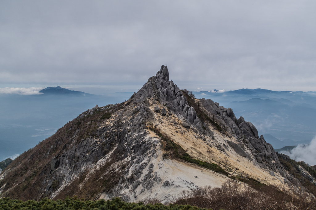 鳳凰のくちばし？