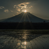 田植えの季節