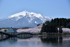 鶴の舞橋