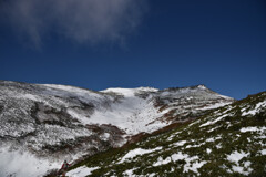 初冠雪