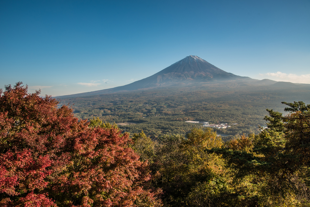 秋の紅葉の丘から