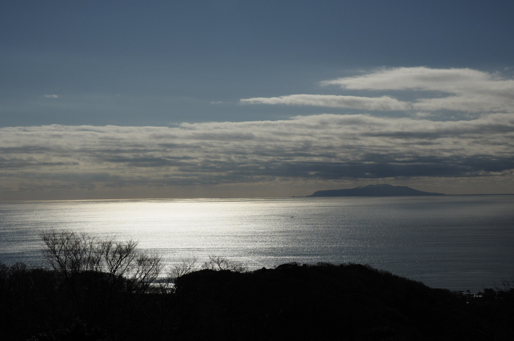 望む大島