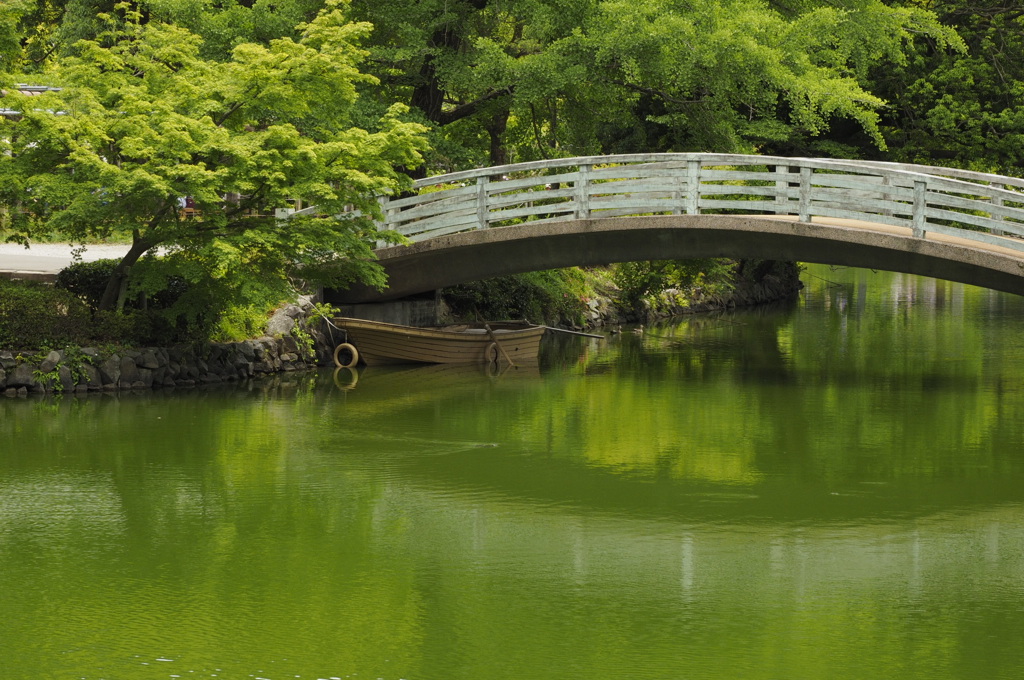 新緑の水辺