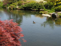 何処まで行こうかな。