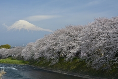 春の龍巌淵