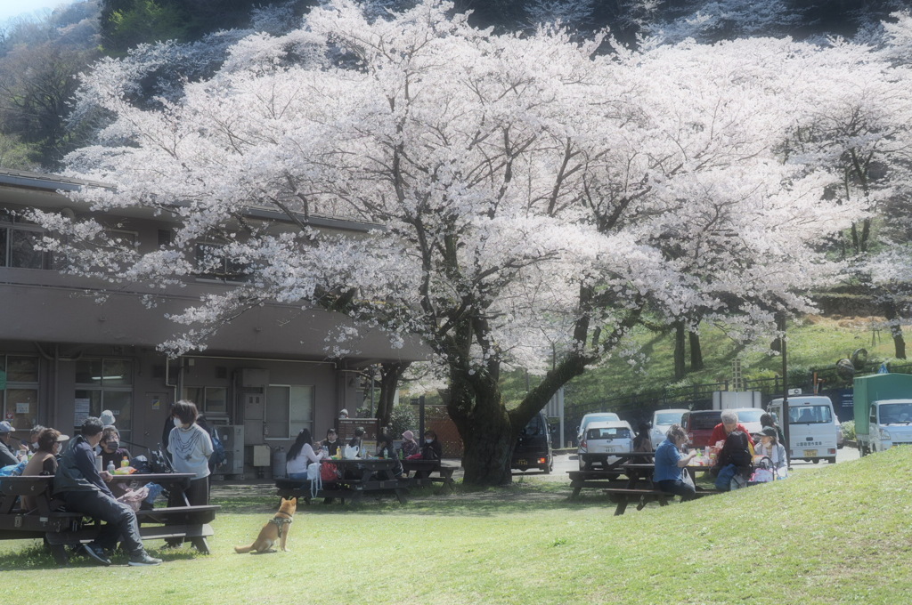 それぞれの休息