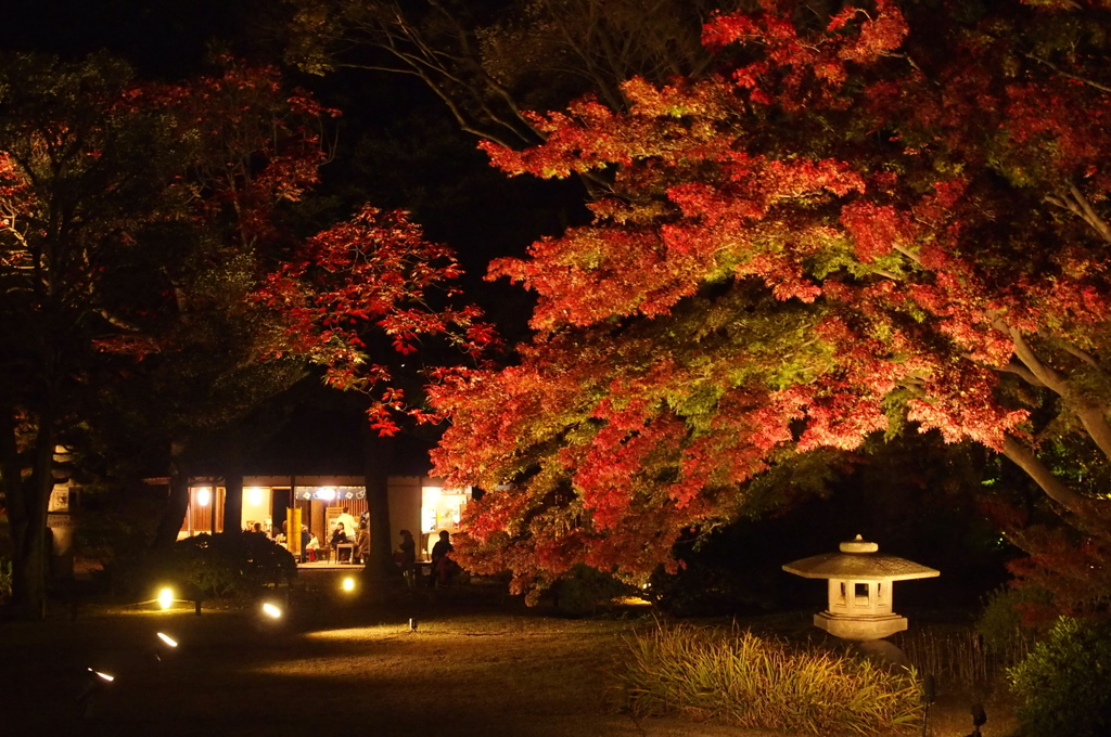 晩秋の夜長