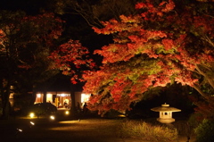 晩秋の夜長