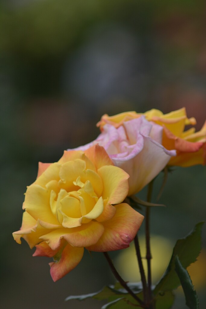 for you