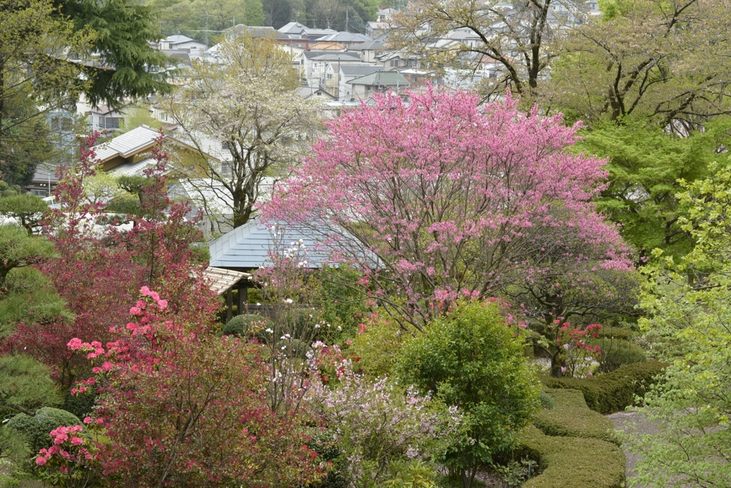 春の東屋