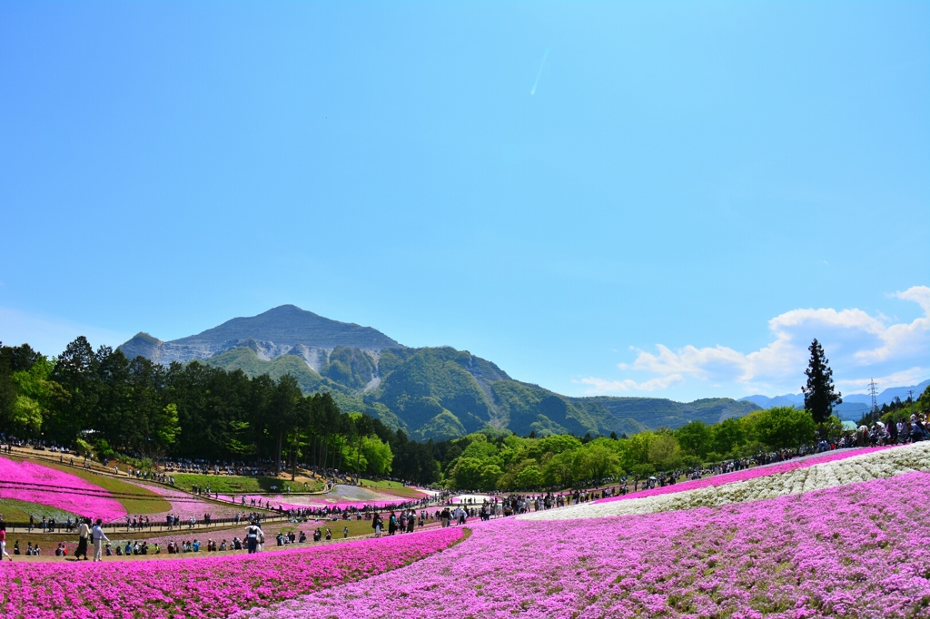 武甲山をのぞむ
