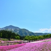 武甲山をのぞむ