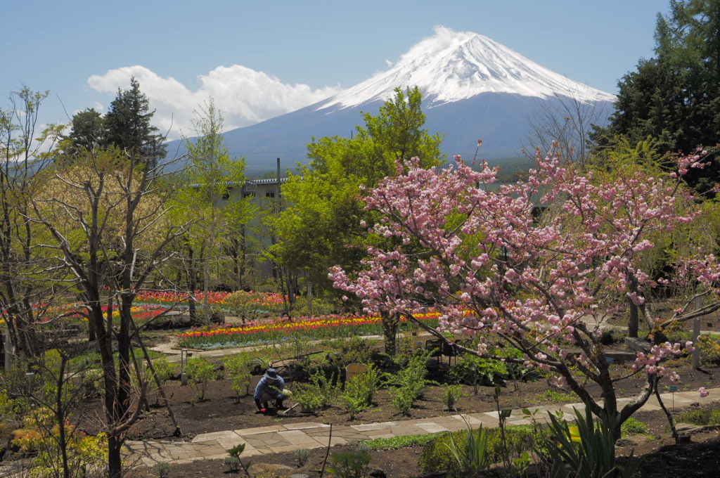 Spring　Garden