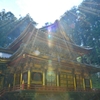 天より見守る家光公
