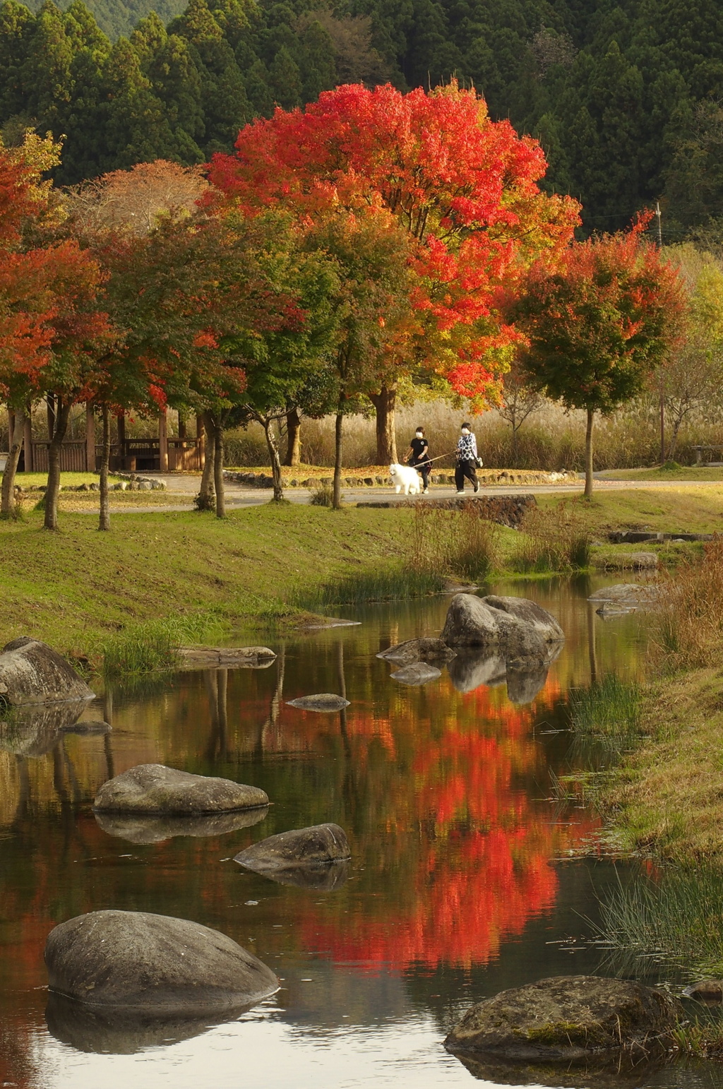 紅葉さんぽ