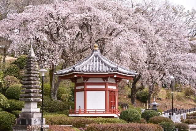 枝垂れの塔