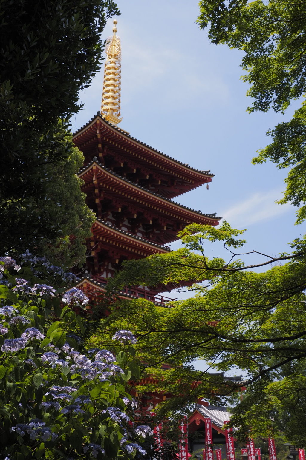 紫陽花と五重塔
